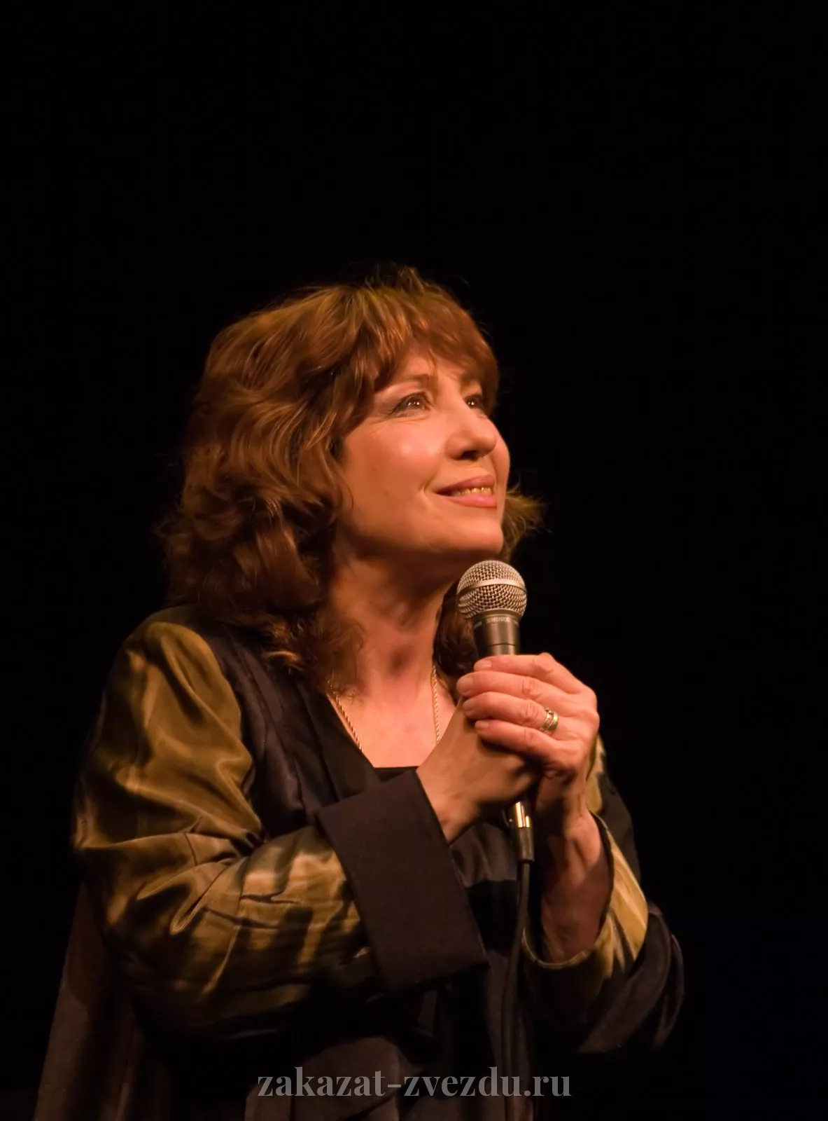 Елена Камбурова — исполнитель, выступление на корпоративе